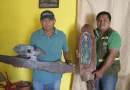 emprendimiento, madera, granada, marena, nicaragua, arte,