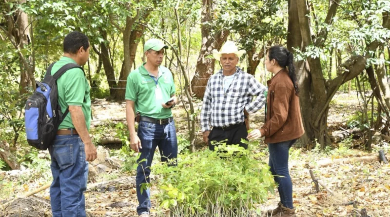 boaco, gobierno de nicaragua, reforestación.
