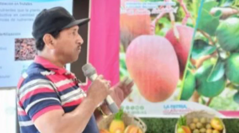 nicaragua, inda, gobierno de nicaragüa, manejo nutricional, arboles frutales,
