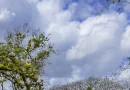 clima nicaragua, pronóstico meteorológico, altas presiones atmosféricas, vientos moderados, temperaturas máximas, ineter nicaragua