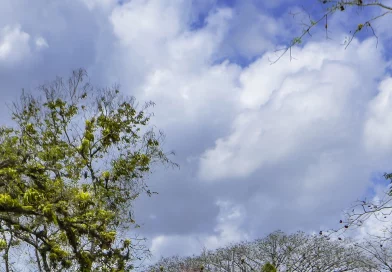 clima nicaragua, pronóstico meteorológico, altas presiones atmosféricas, vientos moderados, temperaturas máximas, ineter nicaragua