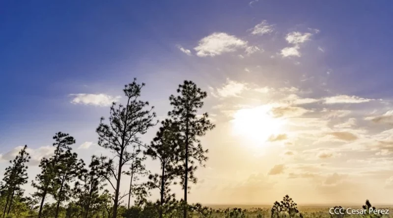 clima nicaragua, ineter, nicaragua, ambiente caluroso, lluvias caribe nicaragua, temperaturas máximas nicaragua, vientos nicaragua, condiciones meteorológicas, clima 25 de abril de 2025