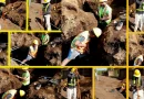 proyecto de alcantarillado, nicaragüa, gobierno de nicaraGUa, Malpaisillo, leon,