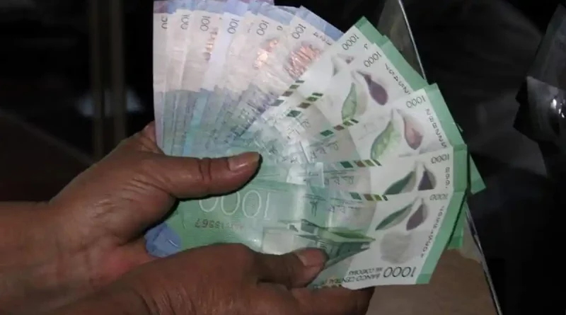 banco central de nicaragua, economia, remesas, informe,