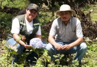 marena, nicaragüa, gobierno de nicaragua, Jinotega, practicas ambientales, Jinotega,