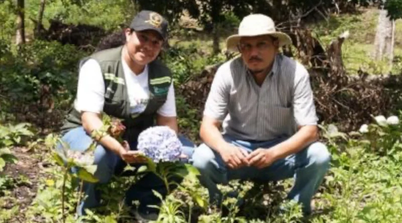 marena, nicaragüa, gobierno de nicaragua, Jinotega, practicas ambientales, Jinotega,