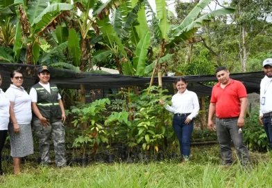 nicaragua, cooperativa de mujeres, el cua, jinotega, cooperativa,