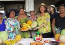 nicaragua, alma, mercado mayor, dinamismo