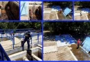 enacal, nicaragua, planta potabilizadora, san rafael del sur, rehabilitacion, agua potable,
