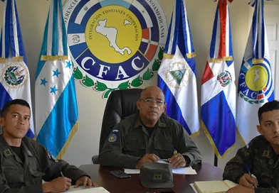 nicaragua, ejercito, reunión, protección, combate