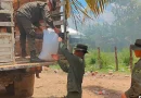nicaragua, ejercito de nicaragua, efectivos, paquetes alimenticios, merienda escolar