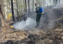 leon, ejercito de nicaragua, sofocación de incendio forestal, nicaragua,