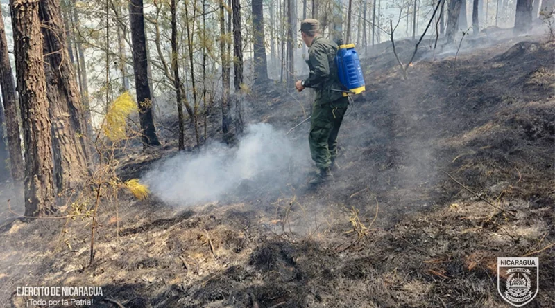leon, ejercito de nicaragua, sofocación de incendio forestal, nicaragua,