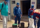 nciaragua, ejercito de nicaragua, pepinos de mar, caribe norte