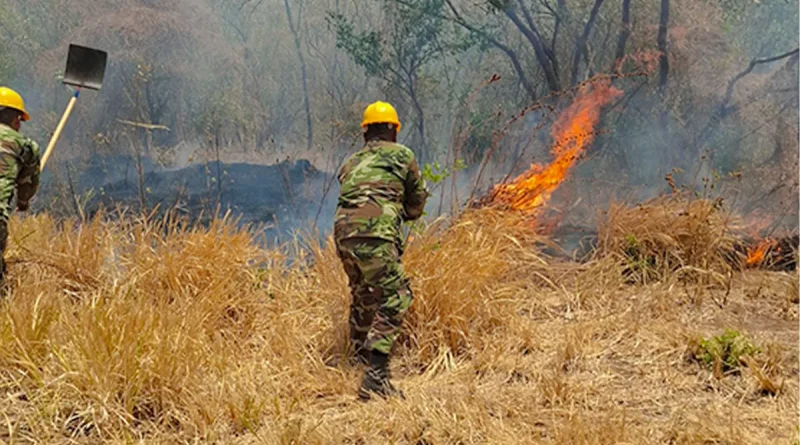 nicaragua, ejercito de nicaragua, incendio forestal, mateare,