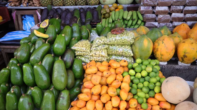 nicaragua, inidea, precios