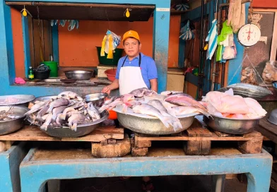 pescados y mariscos, productos pesqueros, mercados nicaragua, pescado seco, tradicional cuaresma, mariscos nacionales, inpesca nicaragua
