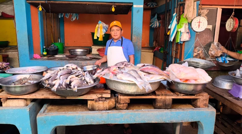 pescados y mariscos, productos pesqueros, mercados nicaragua, pescado seco, tradicional cuaresma, mariscos nacionales, inpesca nicaragua