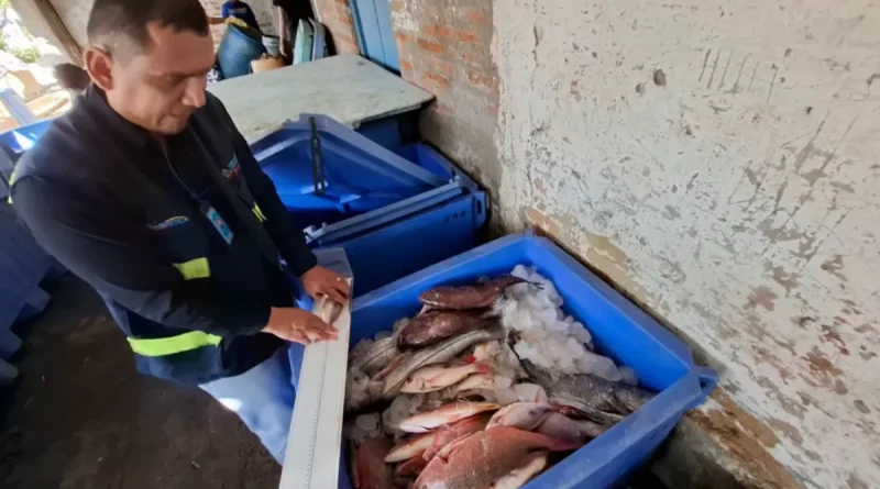 INPESCA, monitoreo cientifico, León, Chinandega, centros de acopio, puntos de venta, productos pesqueros,