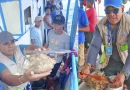 inpesca, monitoreo, caracol rosado, caribe