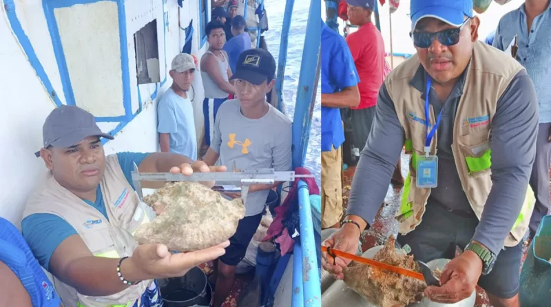 inpesca, monitoreo, caracol rosado, caribe