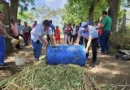 inda, nicaragüa, gobierno de Nicaragua, forraje hidropónico, producción de leche,
