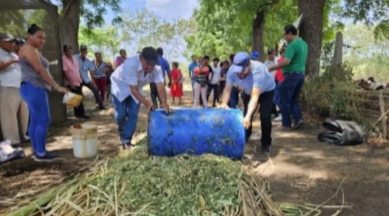 inda, nicaragüa, gobierno de Nicaragua, forraje hidropónico, producción de leche,