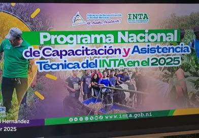 INTA, Nicaragua, asistencia técnica, programa de capacitación, Programa Nacional de Capacitación y Asistencia Técnica 2025, presentación, productores, producción,
