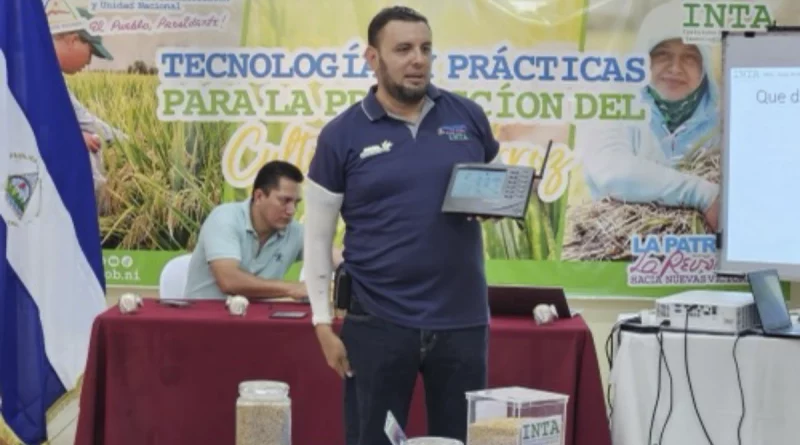 inta, nicaragua, arroz, matagalpa,