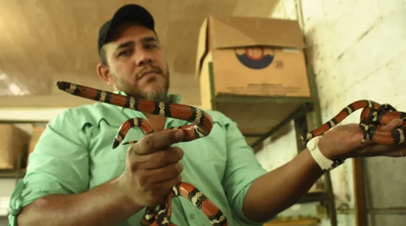 nicaragua, marena, reptiles, anfibios