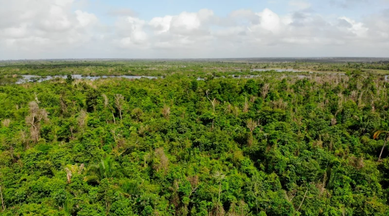 gobierno de nicaragua, marena nicaragua, reserva natural llanos de limbaika, costa caribe norte nicaragua, conservación biodiversidad, especies protegidas, sistema nacional de veda, protección de bosques