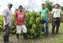 marena, nicaragua, producción sostenible, campo, rio San Juan