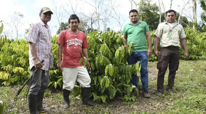 marena, nicaragua, producción sostenible, campo, rio San Juan