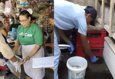 nicaragua, minsa, desratizacion, campaña nacional