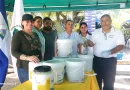 nicaragua, campaña de desratizacion, managua, verano seguro 2025,