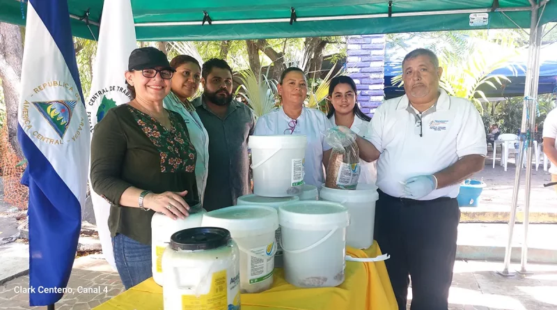 nicaragua, campaña de desratizacion, managua, verano seguro 2025,