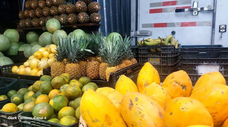 mercados de managua, mercados, frutas, verano,