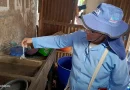nicaragua, ministerio de salud, minsa, abatizacion, barrio jorge dimitrov, salud,