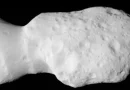 NASA, revela, asteroide, aspecto extraño, primer plano, donaldjohanson,