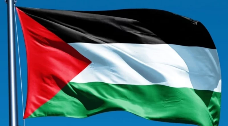 managua, nicaragua, gobierno de nicaragua, violaciones de derechos humanos, pueblo y estado de palestina