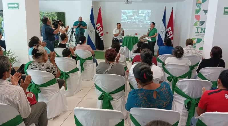 cultivos,platano, banano, musáceas, prevención, manejo de enfermedades,