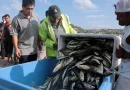 nicaragua, asamblea nacional, flota pesquera, protección, recursos pesqueros