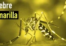 nicaragua, fiebre amarilla, ministerio de salud,