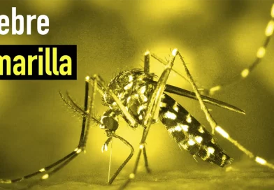 nicaragua, fiebre amarilla, ministerio de salud,