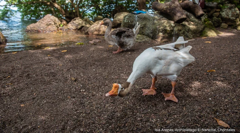 parque ecológico, nicaragüa, turismo, marena, chontales,