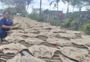 pescado seco, nicaragua, ministerio agropecuario, semana santa, cuaresma,
