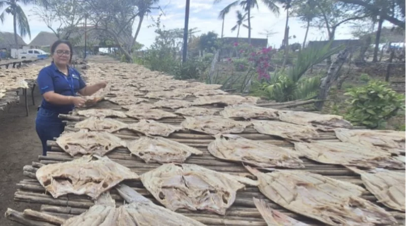 pescado seco, nicaragua, ministerio agropecuario, semana santa, cuaresma,