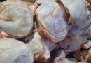 nicaragua, mag, produccion de pollo, produccion, pollo,