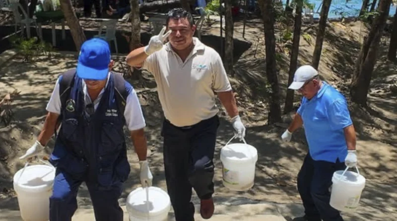 minsa, juventud sandinista 19 de julio, campaña, desratizacion, gobierno de nicaragua,