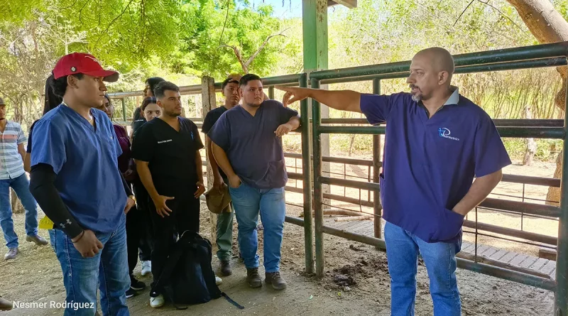 nicaragua, una, métodos, sujeción animal